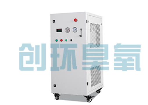 江苏石斑鱼养殖水质调控完整指南:臭氧发生器配置与操作步骤