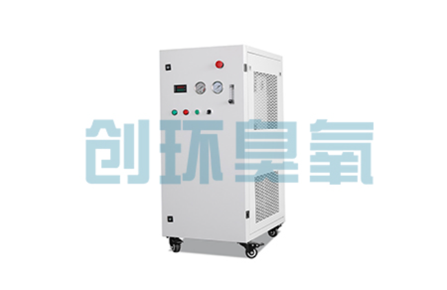江苏比传统换水更高效?臭氧发生器在石斑鱼养殖中的水质净化原理解析